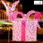 Smart christmas decoration gift box led light with high quality rope light fancy decorative waterproof led christmas light