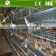 Poultry farm hot dipped galvanized steel pullet chicken cage