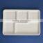 TY-06 12"x8" 5 Compartments Disposable Food Sugercane Tray