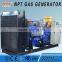 300KW Biogas electric generator from Weifang manufacturer