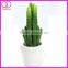 fake pot plant