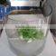 wholesale clear acrylic plants terrarium