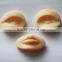 Cosmetic Eyebrow Permanent Make up Practice Replacement Parts for the Mannequin Head
