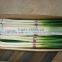 2016 new crop fresh scallions (fresh leek)