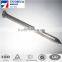 china common nail iron nail factory price