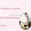 Deep Facial Cleansing Brush Ultrasonic Skin Care Beauty Machine