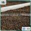 Vietnam grade A good price black pepper 500gl for powder