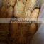 Fresh root of Lotus/ Lotus root whole or sliced