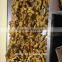 Chinese Best Quality Low Price Fresh Ginger