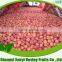 2015 fresh delicious gala apple on sale