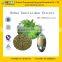 High Quality Rubus Suavissimus Extract