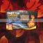 Solid camp fuel fire starter/fire lighter cubes/fire wood bricks