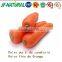 Natural Carrot Extract Powder manufacture ISO, GMP, HACCP, KOSHER, HALAL certificated