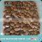 well brand bitter apricot seed wholesale
