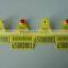 Animal livestock Identification cattle Ear Tags