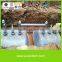 biogas septic tank for domestic sewage treatment