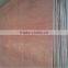 Cheap bintangor face/back commercial plywood sheet for furniture