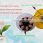 egg incubators prices in China WQ-8