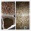 Wood Pellet line production for making wood pellets