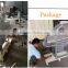 Neweek 98% peeling rate dry roasted peanut skin removing machine
