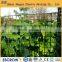 Green Color Plastic Garden Mesh