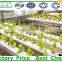 Hot selling Agricultural Tunnel Poly Film Commercial Greenhouse For Sale