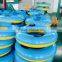 pvc swimming ring ,swim ring,colorful adult inflatable swim ring