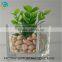 Square clear glass vase for homedecoration