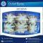 Trusted Brand Selling Fresh Octopus for Bulk Buyers