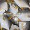 Gold pomfret export fresh fish trading companies