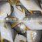 dubai of gold pomfret fish