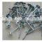 china roofing nails/roofing nails umbrella head/roofing nails cheap price