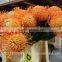 Leucospermum