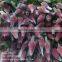 plastic rose bud wrap netting