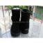 Women boots