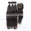 Raw Indian Human Hair Top Quality Virgin Lace Closures And Bundle
