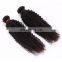 Hot sale high quality vietnamese virgin hair kinky curly hair extension 100 human hair