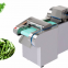 Commercial Onion Cutting Machine Radish, Potato 800-1500 Kg/h