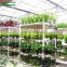 Commercial Hydroponics Systems With Food-grade PVC Gully