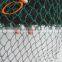 100% Virgin HDPE Agricultural Anti Bird Netting For Garden