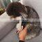 Widely Used Superior Quality Electric Pet Trimmer Mini, Electric Pet Shaver