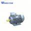 Three-Phase Squirrel Cage Induction Motor 15kw