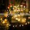 Christmas Lights 2m 10led Outdoor Rose String Lights