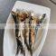 Good price frozen anchovy fish block for export