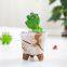 Home Succulent Plant Flower Pots Glazed Creative Hand Painted Pot Korea Plants Succulents Live Flowerpot Tray Korean Planter