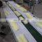 CE Approved Automatic Ham Sausage Packing Machine Hot Dog Bacon Packaging Machine