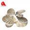 bronze speed Rc Boat Propeller