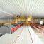 Low Cost malaysia wall made steel framing commercial small chicken Poultry House Ghana For Layer Chicken