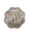 Natural Zeolite Green Powder Zeolite Stone Clinoptilolite Zeolite For Water Filter Treatment