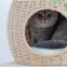 Meow Love Rattan kitten Tower Furniture Plush Cover Sisal Hind Cat Tree Small Fresh Cat Nest Rest Entertainment Exercise